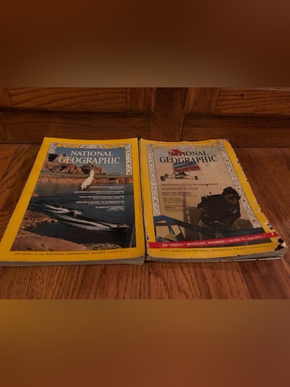 National Geographic Yellow-Bordered Magazine Pair